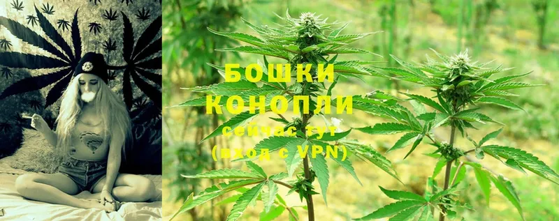 Бошки марихуана Ganja  МЕГА зеркало  Пыталово 